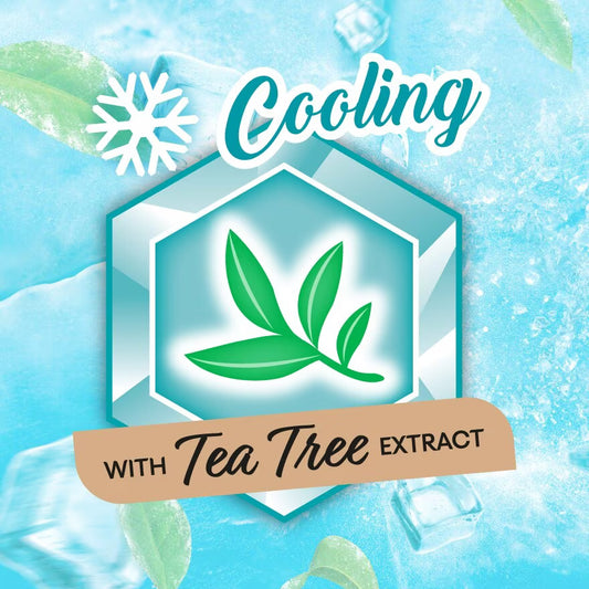 KOTEX Herbal Cool Overnight Wing Pad (10s) Sanitary Pad with Lavender Scent
